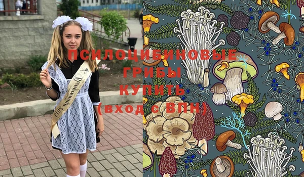 молекула духа Новочеркасск