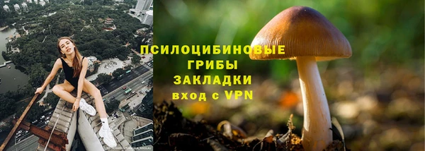 спайс Магадан