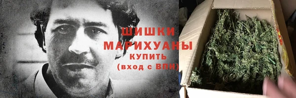 молекула духа Магас